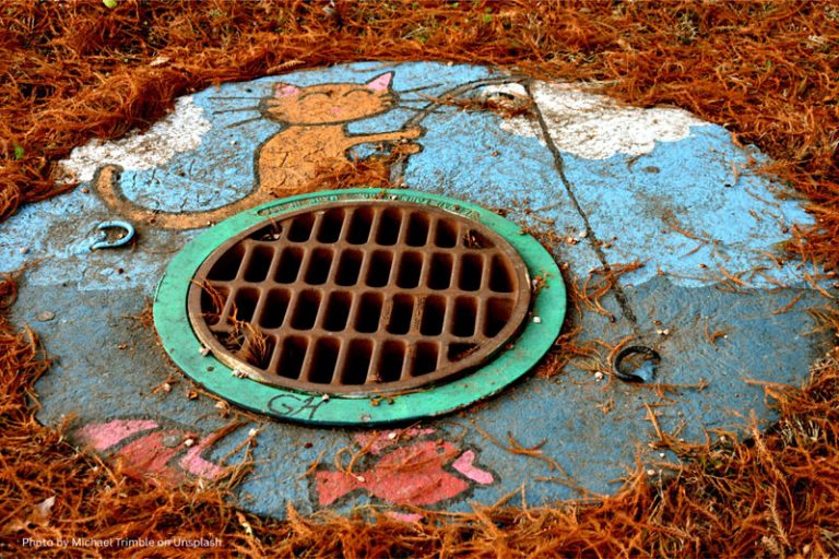 sewer services, plumbing repair, septic tank, septic service, prolong septic system life